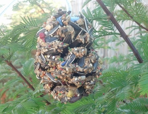pinecone bird feeder